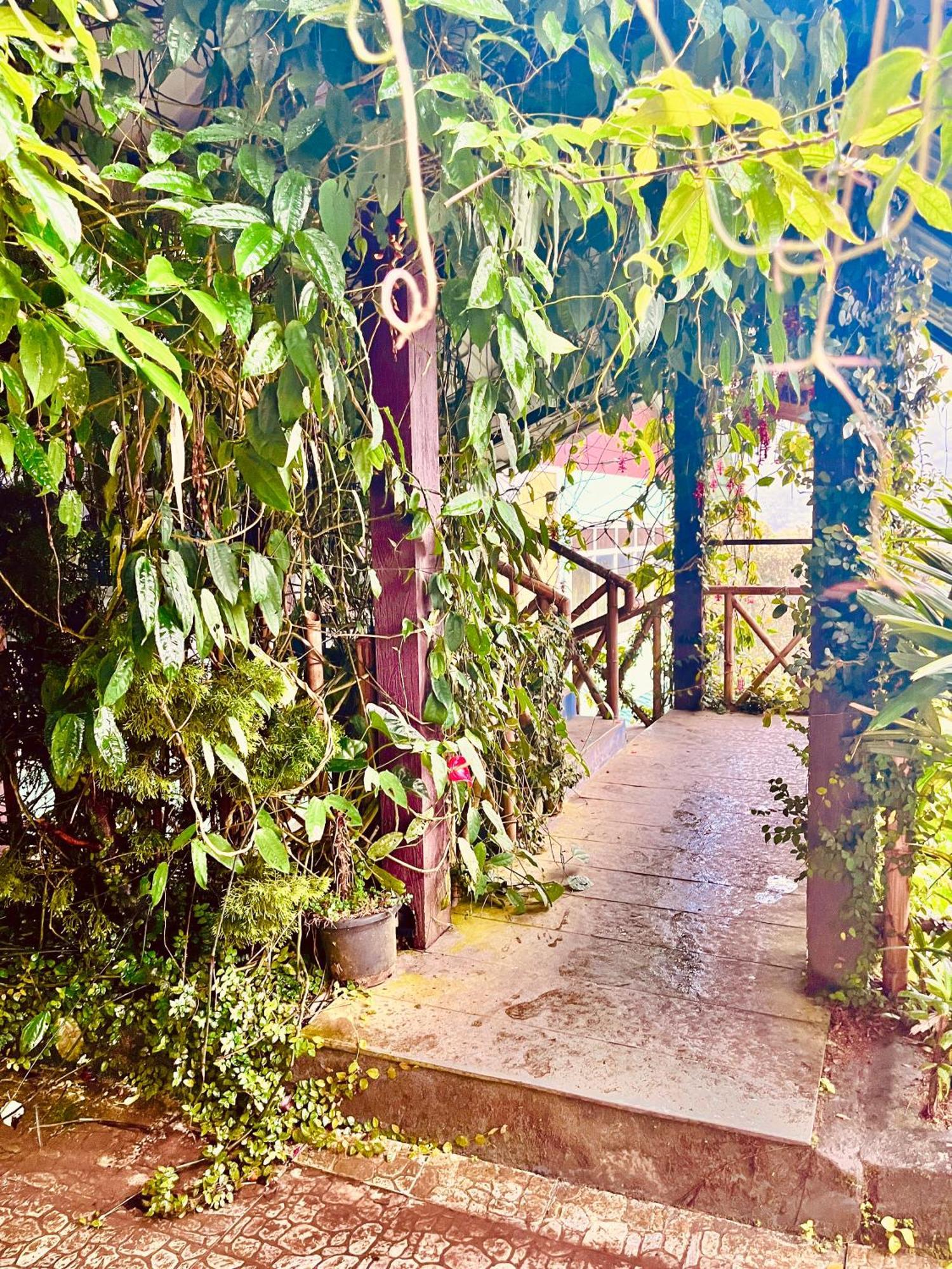 Munnar Tea Estate Cottage And Resort - Away From City Hustle Esterno foto